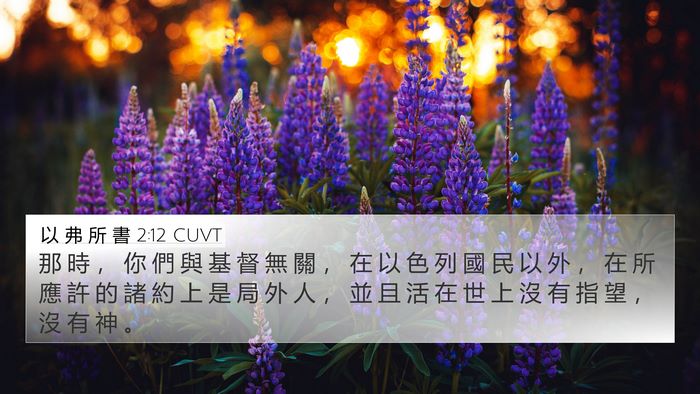 以 弗 所 書 2:12 CUVT Bible Verse Image
