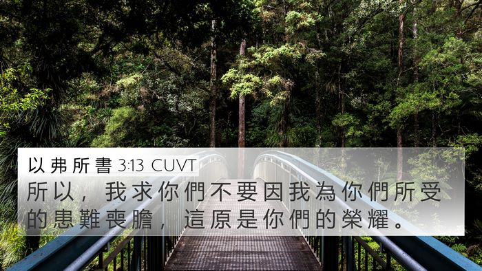 以 弗 所 書 3:13 CUVT Bible Verse Image