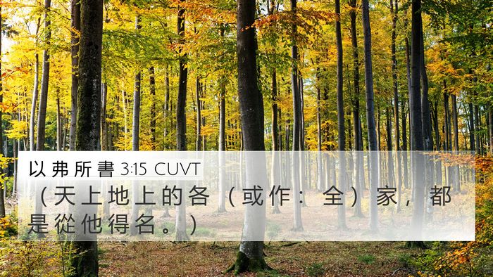 以 弗 所 書 3:15 CUVT Bible Verse Image