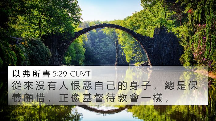 以 弗 所 書 5:29 CUVT Bible Verse Image