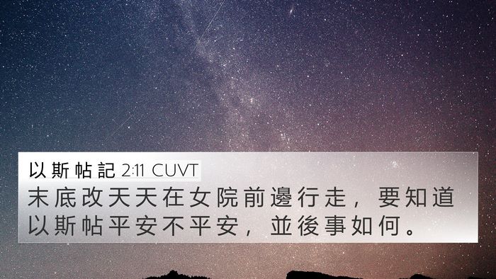 以 斯 帖 記 2:11 CUVT 4K Wallpaper - 末 底 改 天 天 在 女 院 前 邊 行 走 - 4K Wallpaper Bible Verse