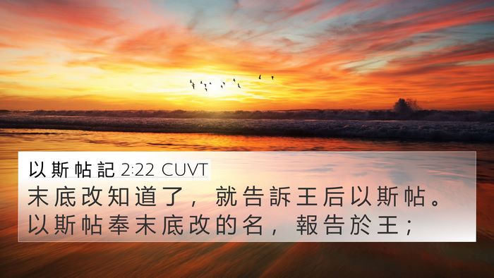 以 斯 帖 記 2:22 CUVT 4K Wallpaper - 末 底 改 知 道 了 ， 就 告 訴 王 后 - 4K Wallpaper Bible Verse