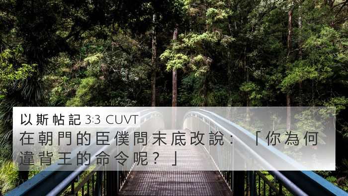 以 斯 帖 記 3:3 CUVT 4K Wallpaper - 在 朝 門 的 臣 僕 問 末 底 改 說 ： - 4K Wallpaper Bible Verse