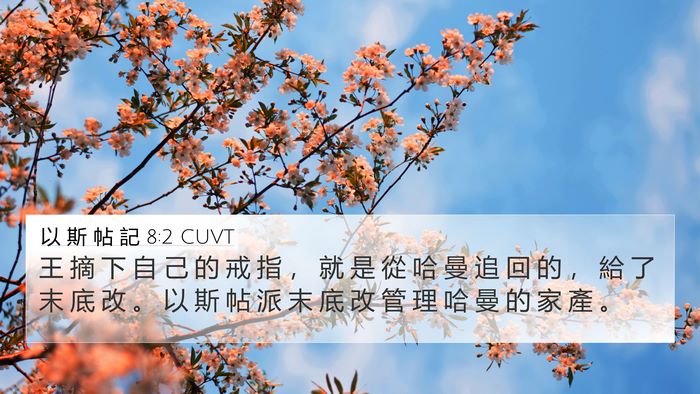 以 斯 帖 記 8:2 CUVT 4K Wallpaper - 王 摘 下 自 己 的 戒 指 ， 就 是 從 - 4K Wallpaper Bible Verse