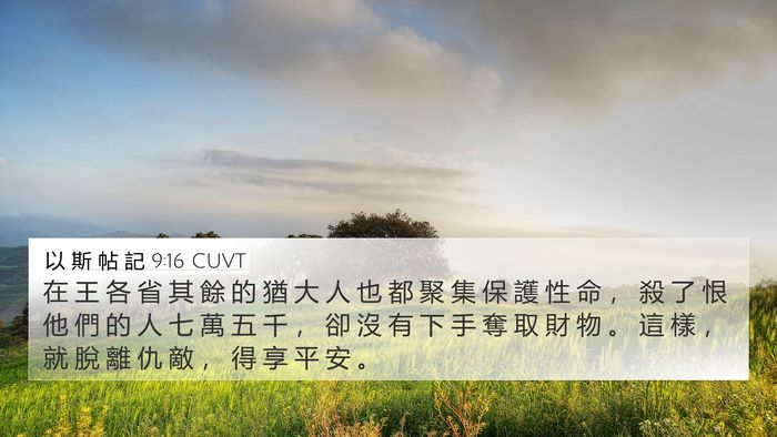 以 斯 帖 記 9:16 CUVT 4K Wallpaper - 在 王 各 省 其 餘 的 猶 大 人 也 都 - 4K Wallpaper Bible Verse