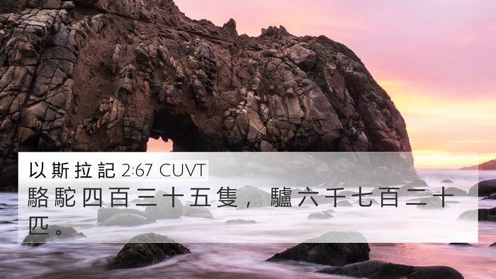 以 斯 拉 記 2:67 CUVT 4K Wallpaper - 駱 駝 四 百 三 十 五 隻 ， 驢 六 千 - 4K Wallpaper Bible Verse