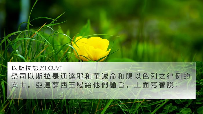 以 斯 拉 記 7:11 CUVT Bible Verse Image