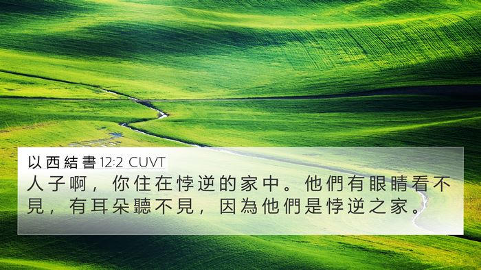 以 西 結 書 12:2 CUVT Bible Verse Image