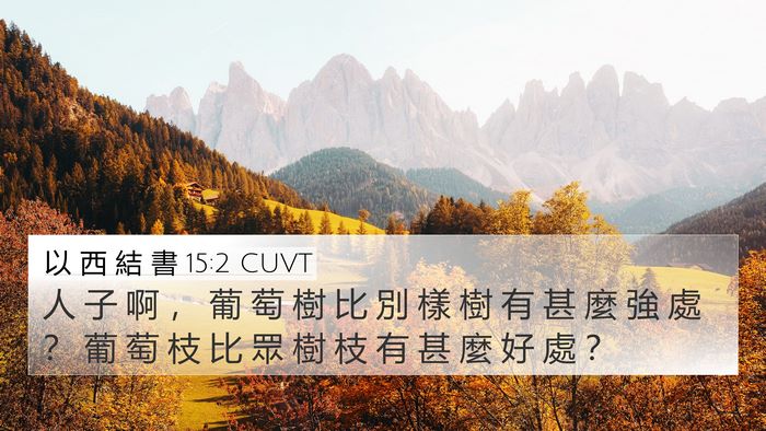 以 西 結 書 15:2 CUVT Bible Verse Image