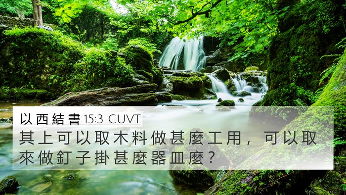 以 西 結 書 15:3 CUVT Bible Verse Image