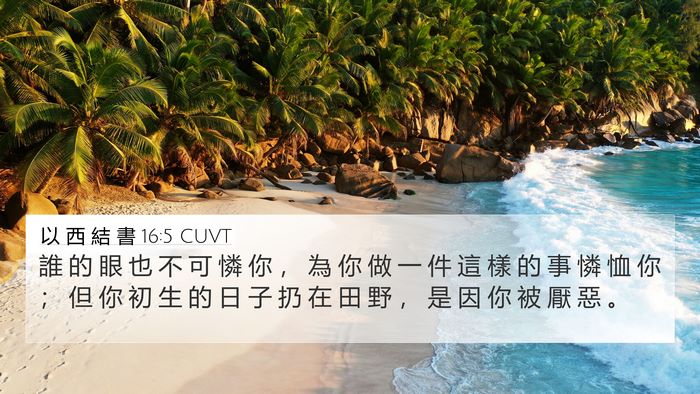 以 西 結 書 16:5 CUVT 4K Wallpaper - 誰 的 眼 也 不 可 憐 你 ， 為 你 做 - 4K Wallpaper Bible Verse
