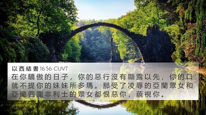 以 西 結 書 16:56 CUVT Bible Verse Image