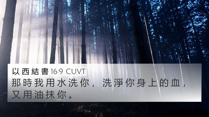 以 西 結 書 16:9 CUVT 4K Wallpaper - 那 時 我 用 水 洗 你 ， 洗 淨 你 身 - 4K Wallpaper Bible Verse