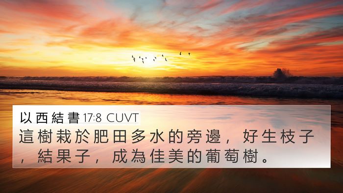 以 西 結 書 17:8 CUVT 4K Wallpaper - 這 樹 栽 於 肥 田 多 水 的 旁 邊 ， - 4K Wallpaper Bible Verse