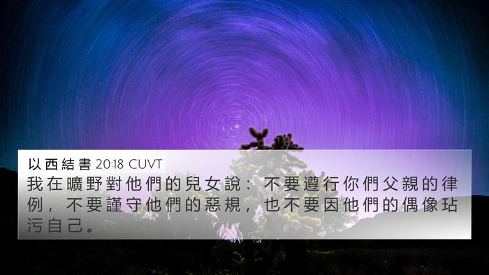 以 西 結 書 20:18 CUVT Bible Verse Image