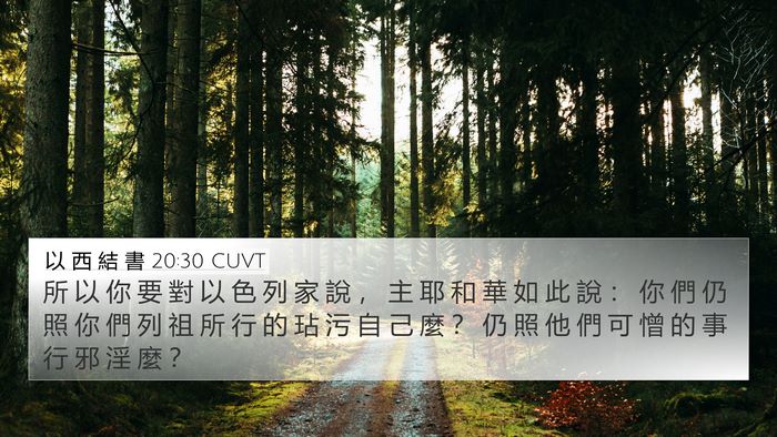 以 西 結 書 20:30 CUVT Bible Verse Image