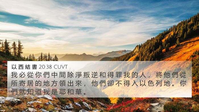 以 西 結 書 20:38 CUVT Bible Verse Image