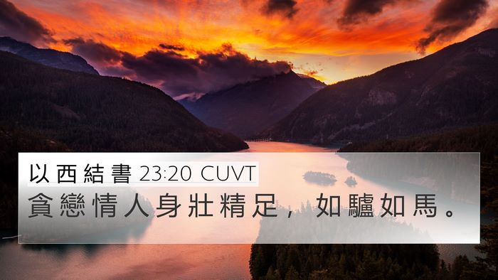 以 西 結 書 23:20 CUVT Bible Verse Image