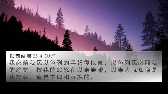 以 西 結 書 25:14 CUVT Bible Verse Image