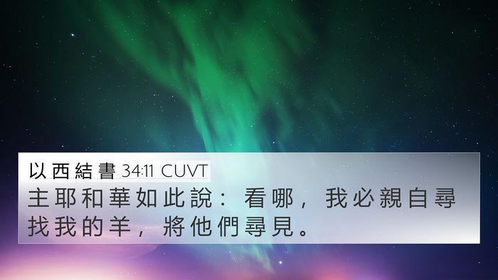 以 西 結 書 34:11 CUVT Bible Verse Image
