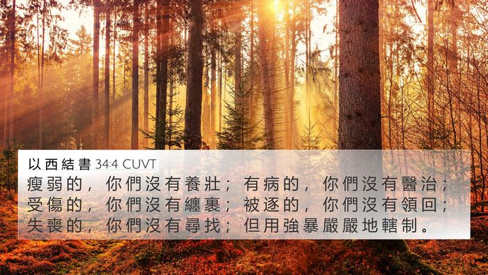 以 西 結 書 34:4 CUVT Bible Verse Image