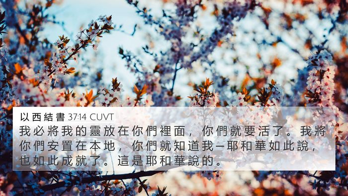 以 西 結 書 37:14 CUVT Bible Verse Image