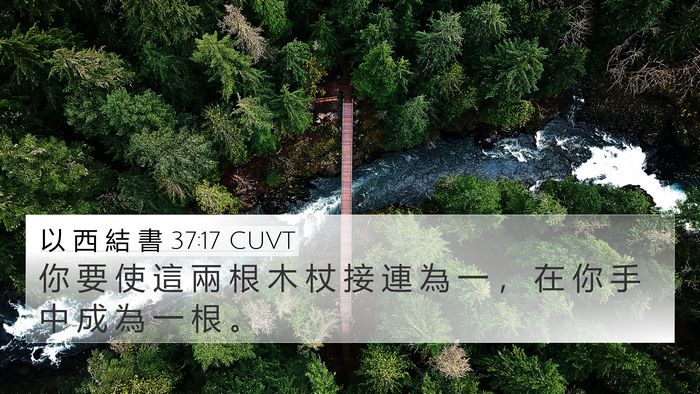 以 西 結 書 37:17 CUVT 4K Wallpaper - 你 要 使 這 兩 根 木 杖 接 連 為 一 - 4K Wallpaper Bible Verse