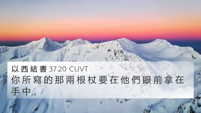 以 西 結 書 37:20 CUVT Bible Verse Image