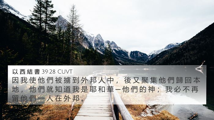 以 西 結 書 39:28 CUVT Bible Verse Image