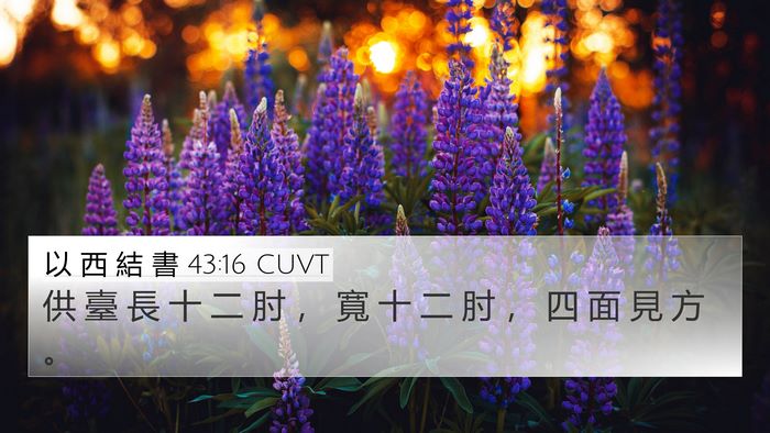 以 西 結 書 43:16 CUVT 4K Wallpaper - 供 臺 長 十 二 肘 ， 寬 十 二 肘 ， - 4K Wallpaper Bible Verse
