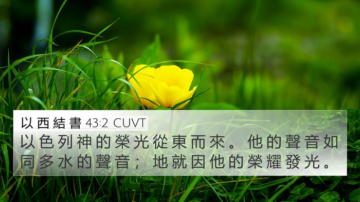 以 西 結 書 43:2 CUVT Bible Verse Image