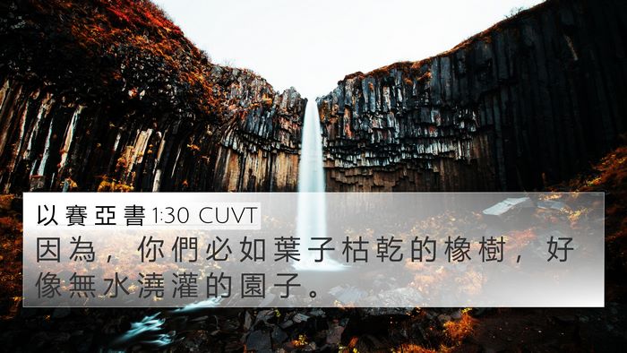 以 賽 亞 書 1:30 CUVT 4K Wallpaper - 因 為 ， 你 們 必 如 葉 子 枯 乾 的 - 4K Wallpaper Bible Verse