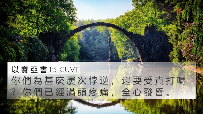 以 賽 亞 書 1:5 CUVT Bible Verse Image