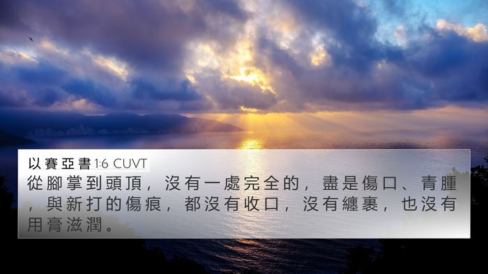 以 賽 亞 書 1:6 CUVT Bible Verse Image