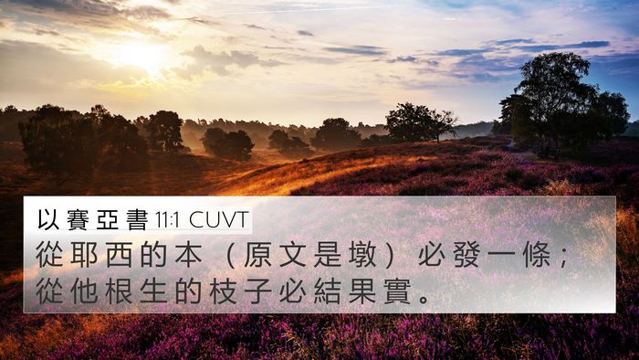 以 賽 亞 書 11:1 CUVT Bible Verse Image