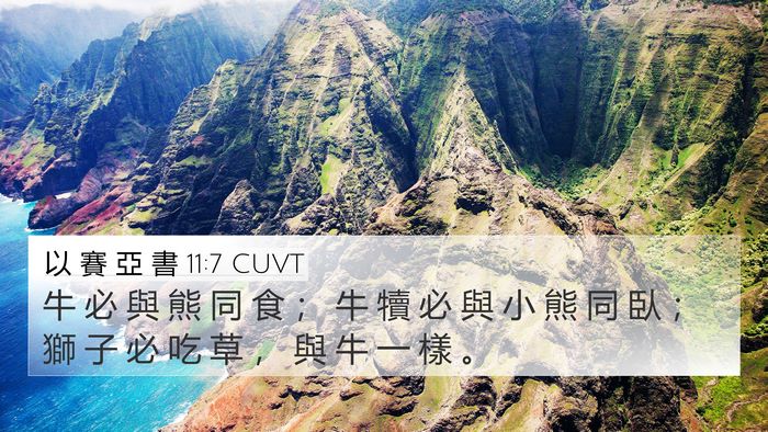 以 賽 亞 書 11:7 CUVT 4K Wallpaper - 牛 必 與 熊 同 食 ； 牛 犢 必 與 小 - 4K Wallpaper Bible Verse