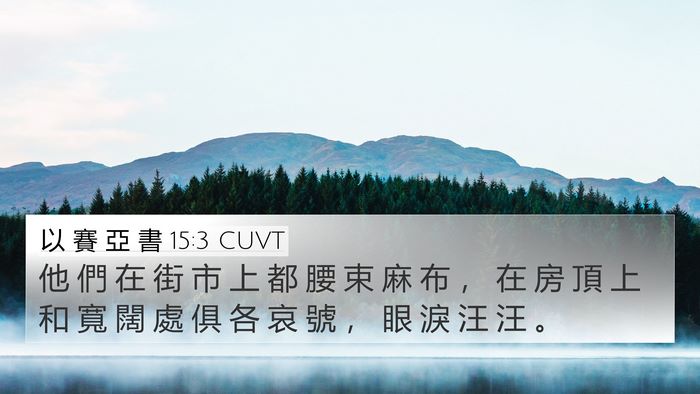 以 賽 亞 書 15:3 CUVT Bible Verse Image