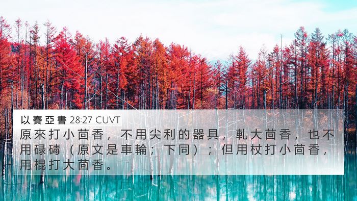 以 賽 亞 書 28:27 CUVT Bible Verse Image
