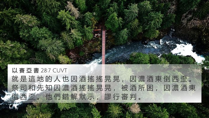 以 賽 亞 書 28:7 CUVT Bible Verse Image