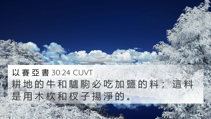 以 賽 亞 書 30:24 CUVT 4K Wallpaper - 耕 地 的 牛 和 驢 駒 必 吃 加 鹽 的 - 4K Wallpaper Bible Verse