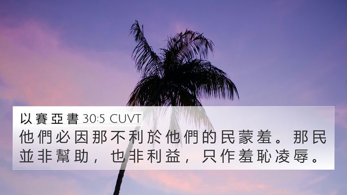 以 賽 亞 書 30:5 CUVT Bible Verse Image