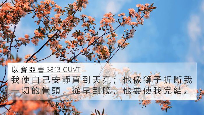 以 賽 亞 書 38:13 CUVT Bible Verse Image