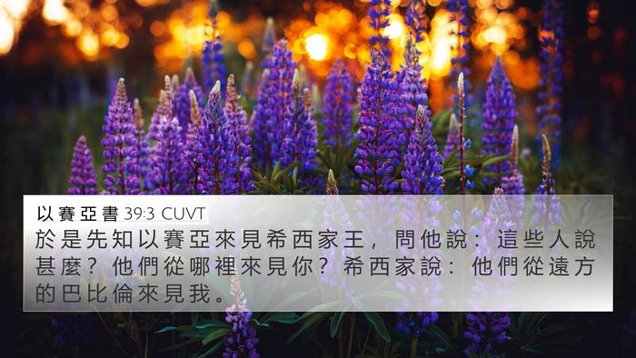 以 賽 亞 書 39:3 CUVT Bible Verse Image