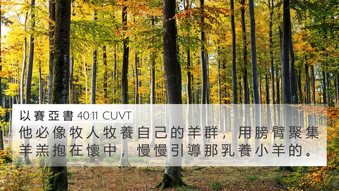 以 賽 亞 書 40:11 CUVT Bible Verse Image