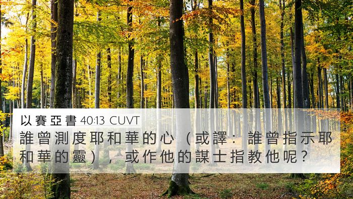 以 賽 亞 書 40:13 CUVT Bible Verse Image
