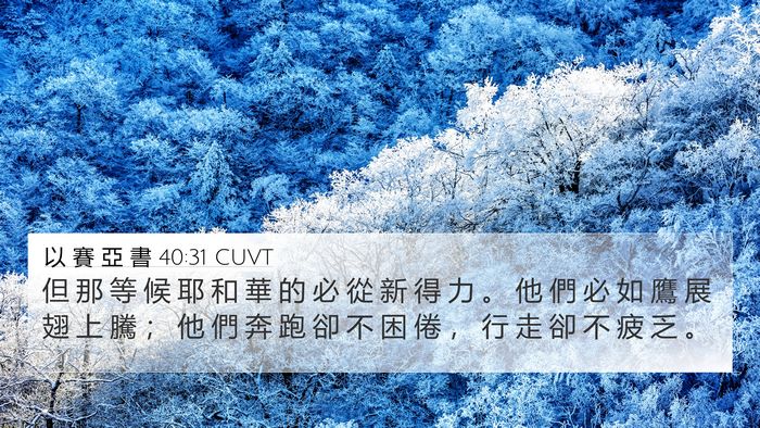 以 賽 亞 書 40:31 CUVT Bible Verse Image