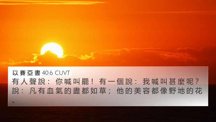 以 賽 亞 書 40:6 CUVT Bible Verse Image