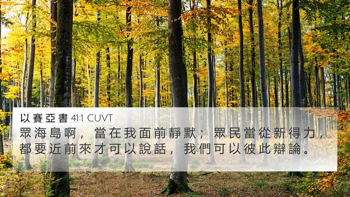 以 賽 亞 書 41:1 CUVT Bible Verse Image