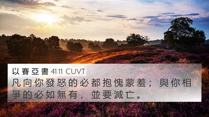 以 賽 亞 書 41:11 CUVT Bible Verse Image