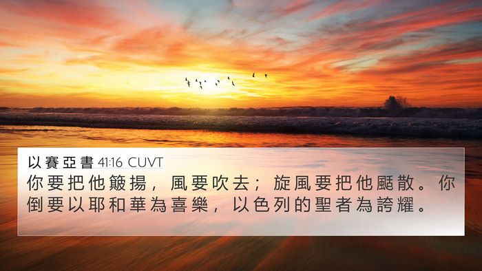 以 賽 亞 書 41:16 CUVT Bible Verse Image